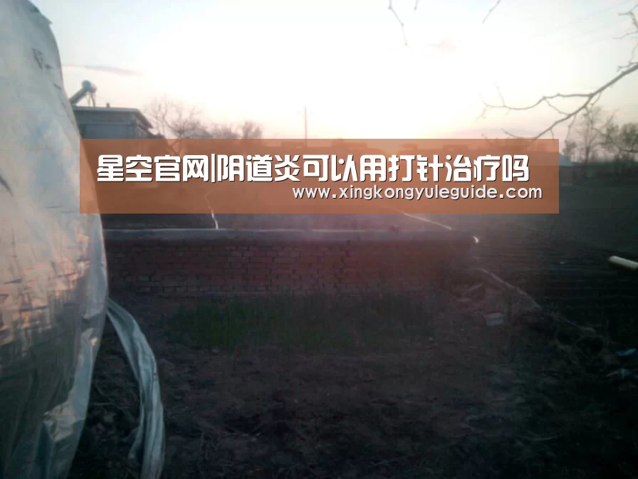星空官网|阴道炎可以用打针治疗吗(图4)