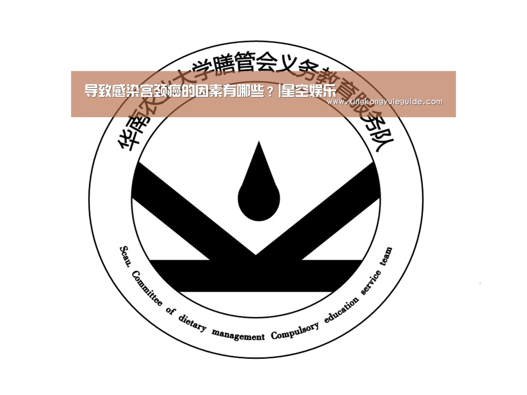 星空官网